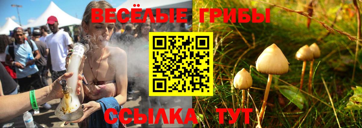 Галлюциногенные грибы Cubensis Лиски